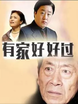 有家好好过 海报
