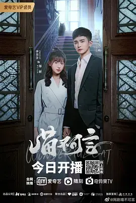 《喵不可言》：猫咪治愈一切？看完才知这家庭情感有多扎心！